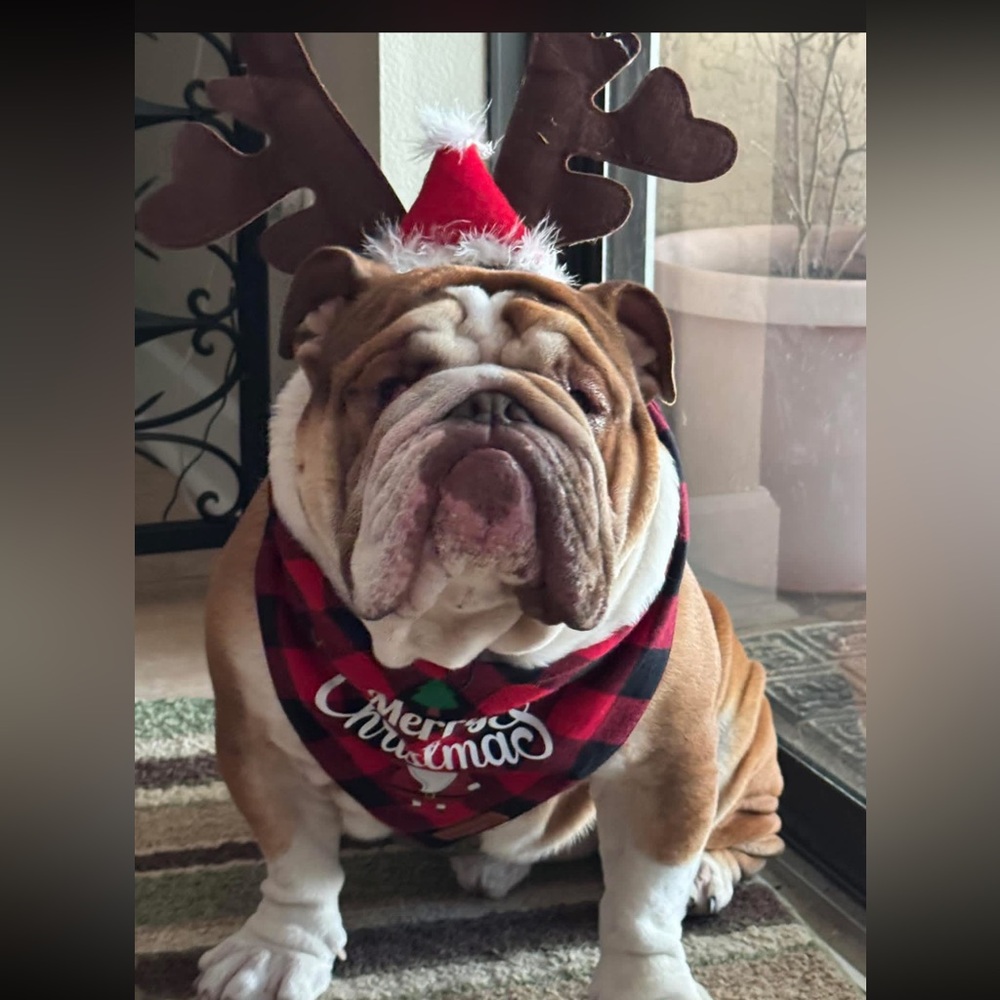 Meet your Posher, Tim